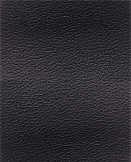 Black Leather