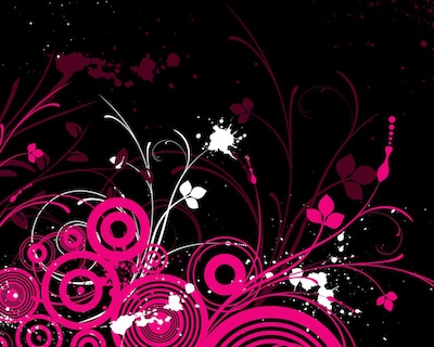 Black Pink Butterfly