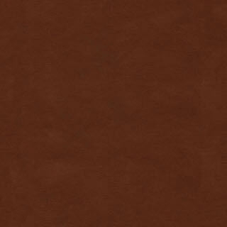 Brown Leather
