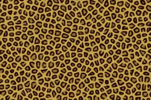 Leopard Print