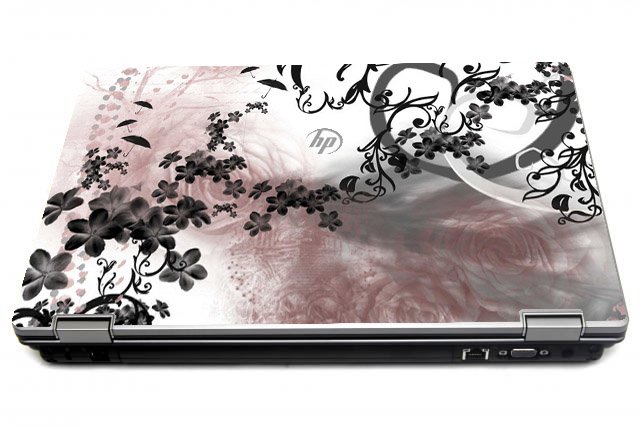 HP ProBook 6550B FLOWERS AND UMBRELLAS Laptop Skin