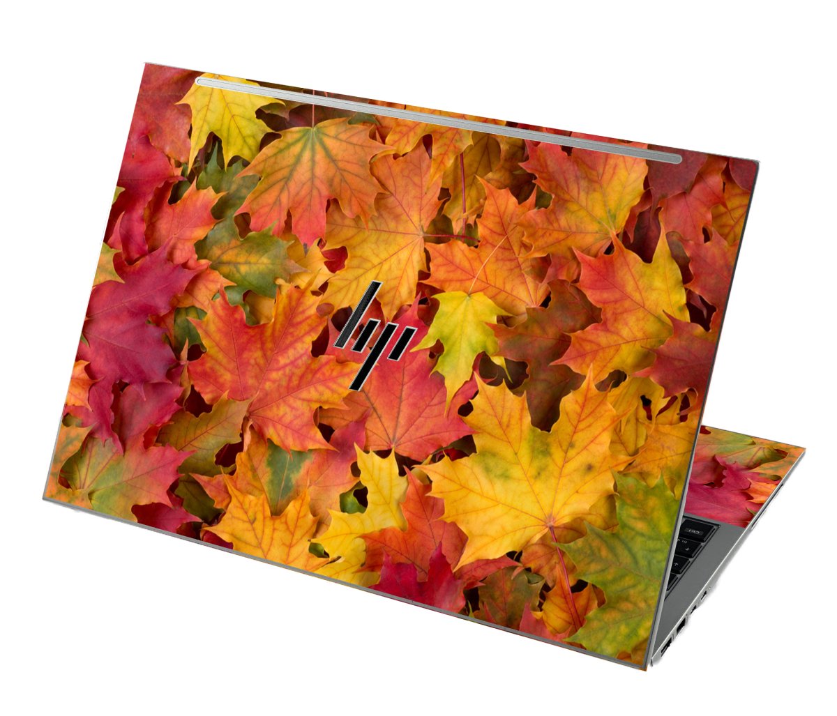 HP EliteBook 860 G9 FALLEN LEAVES Laptop Skin