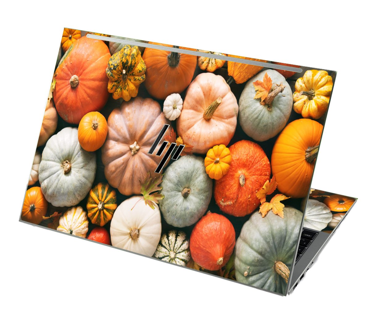 HP EliteBook 860 G9 PASTELS AND PUMPKINS Laptop Skin