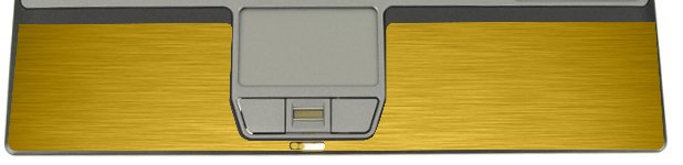 Dell Latitude D420 / D430 MTS GOLD Laptop Skin