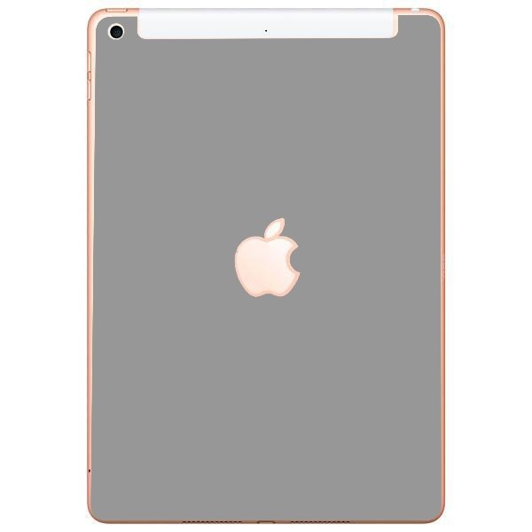 Apple iPad 7 (A2200) (A2198) (Wifi / Cell) GREY SILVER Laptop Skin