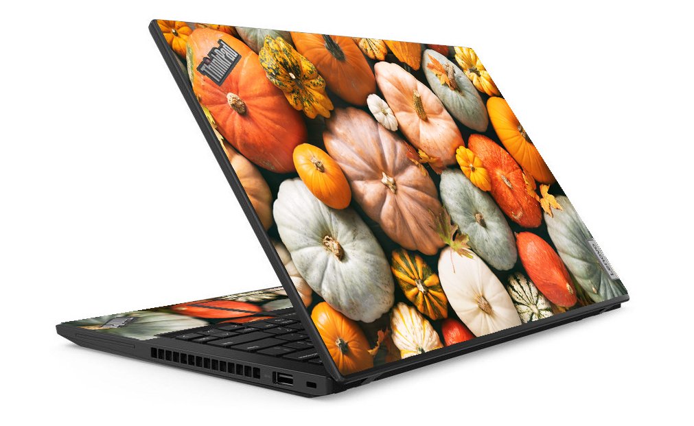 ThinkPad T14 G3 PASTELS AND PUMPKINS Laptop Skin
