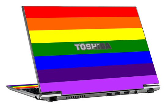 Toshiba Z930 PRIDE FLAG Laptop Skin