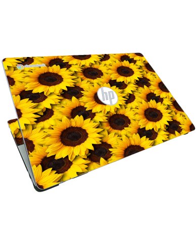 HP Chromebook 15A NA0058WM SUNFLOWERS Laptop Skin